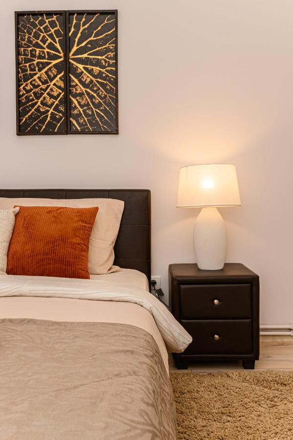 Chic&View Brasov Apartment Extérieur photo